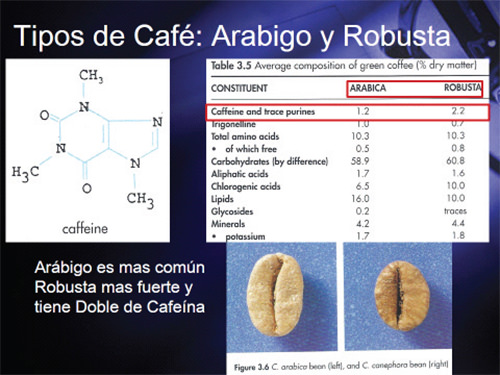 Figura 2. Tipos Principales de Café: Arábigo y Robusta. Panel Izquierdo: Estructura química de la cafeína. Panel Derecho: Composición química de los dos tipos de Café. Panel Inferior: Granos de Café. (Tomado de Wikipedia 2013, ref. 1).
