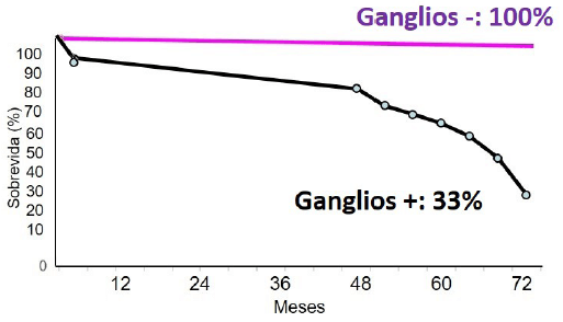 Gráfico 1. Tasas de sobrevida según el reporte histológico de los especímenes quirúrgicos.