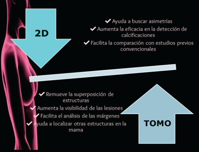 Figura 2.