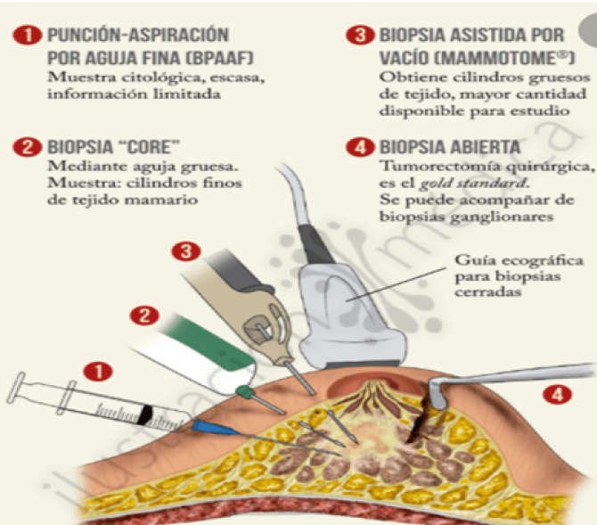 Figura 5.