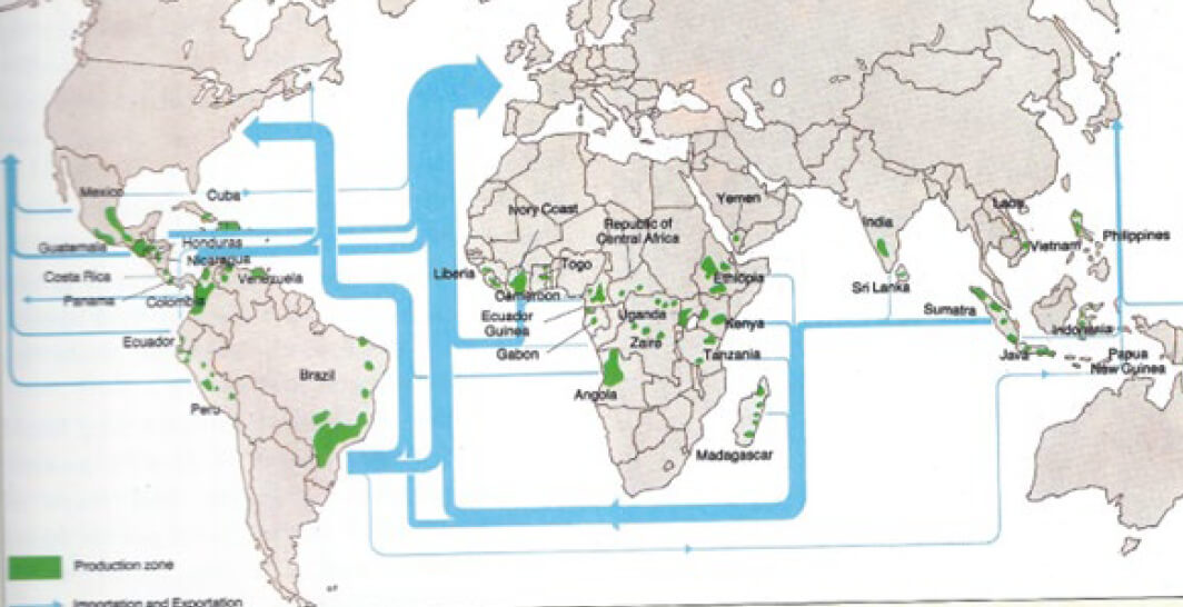 Figura 4. Regiones productoras de café a nivel mundial para 1992, las flechas indican hacia donde se dirigen las exportaciones de café. 