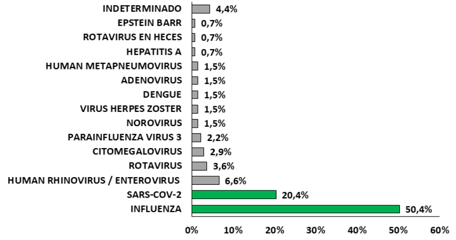 Figura 1. Infecciones virales en pacientes hospitalizados en CMC 2024-2025